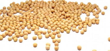 燕麥堅(jiān)果酸奶等14種超級(jí)食物 日常養(yǎng)生保健，助您少得病、更長(zhǎng)壽